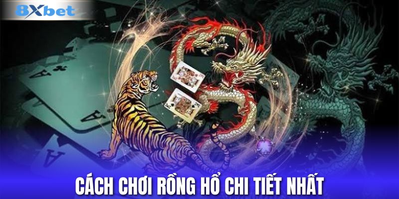 Cách chơi rồng hổ chi tiết nhất