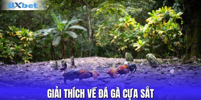 Giải thích về đá gà cựa sắt