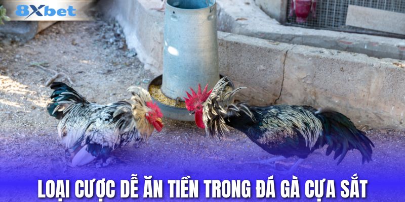 Loại cược dễ ăn tiền trong đá gà cựa sắt
