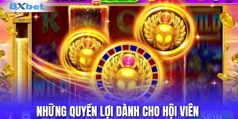 Những quyền lợi dành cho hội viên 