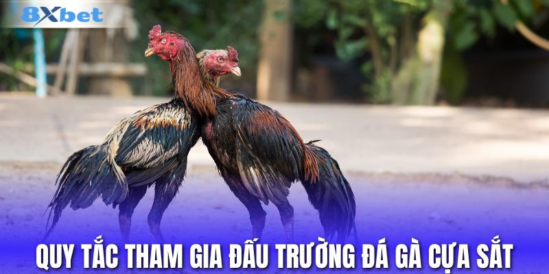 Quy tắc tham gia đấu trường đá gà cựa sắt